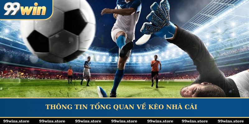 Thông tin tổng quan về kèo nhà cái 